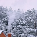 Олексій Білокур фотография #28 (источник - https://vk.com/id4407740)