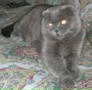 Фотография Чубко Антона