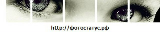 Ботька Біленький фотография #33 (источник - https://vk.com/id80161724)