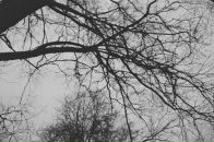 Алексей Куликов фотография #16 (источник - https://vk.com/id192201)