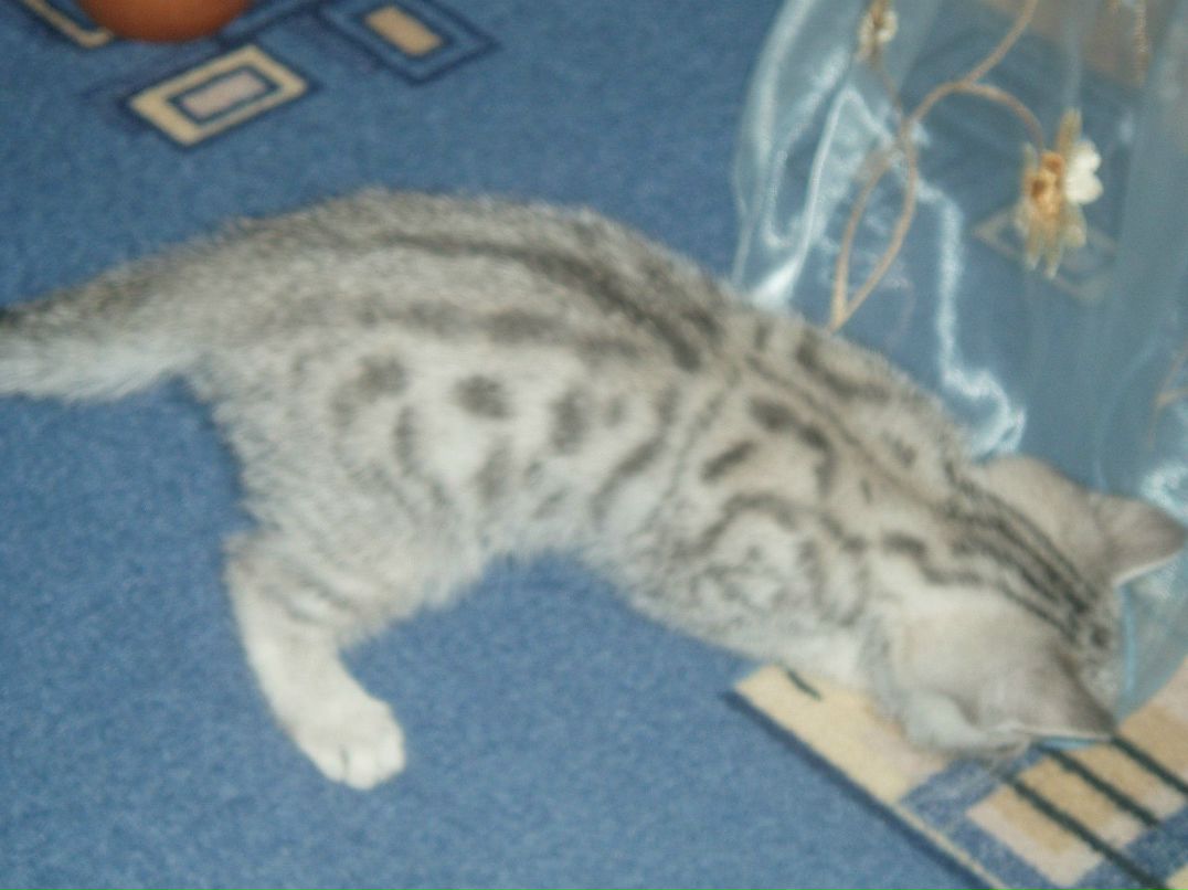 Сергей Пушняков фотография #48