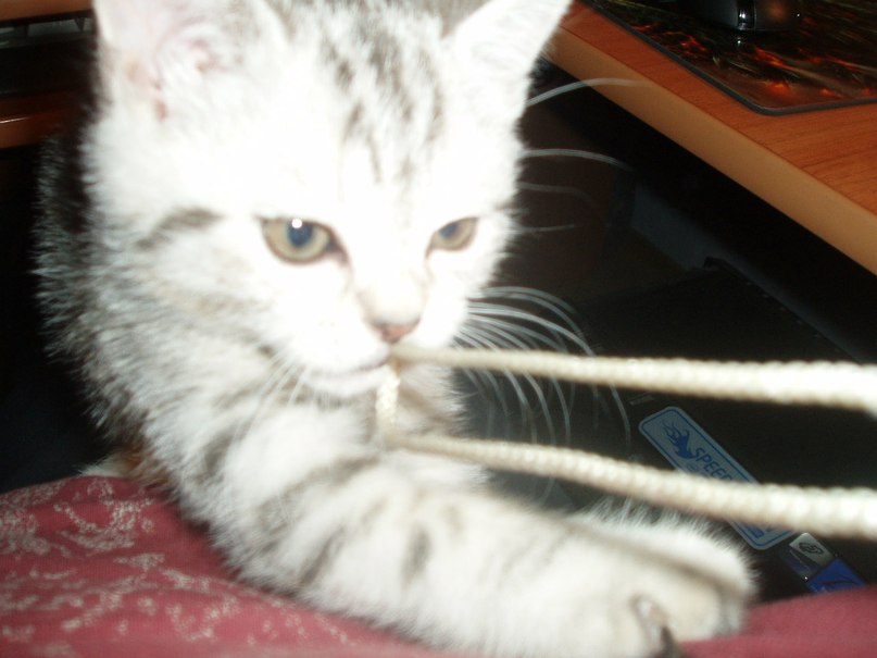 Сергей Пушняков фотография #46