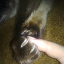 Фотография Черкасовой Маргариты