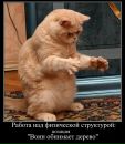 Фотография Гординой Настюши