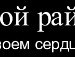 Назар Тріфан фотография #21 (источник - https://vk.com/id117990979)