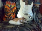 Иван Садаков фотография #31 (источник - https://vk.com/id15594240)