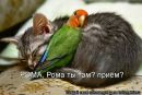 Ірина Демешкіна фотография #47 (источник - https://vk.com/id60720086)