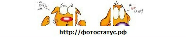 Андрій Котоуч фотография #27 (источник - https://vk.com/id45248803)