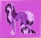 Фотография Цинк Зины