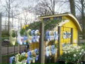 Фотография Twente Kira