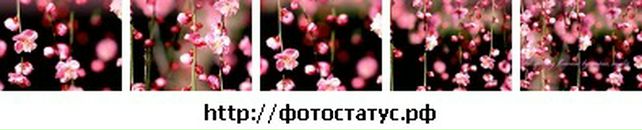 Софія Парацій фотография #10 (источник - https://vk.com/id20623067)