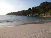 Дмитрий Михеенко фотография #24 (источник - https://vk.com/id553521)