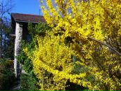 Ірина Панічева фотография #45 (источник - https://vk.com/id67275749)