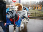 Фотография Любченкова Романовой Екатерины