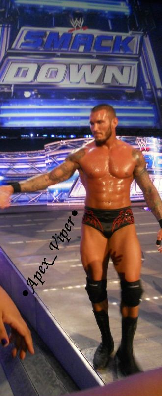 Randy Orton фотография #49