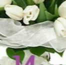 Інна Петльована фотография #7 (источник - https://vk.com/id106113397)