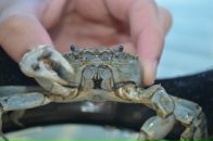 Фотография Горячевой Виктории