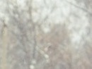 Віка Поручнік фотография #36 (источник - https://vk.com/id137252726)
