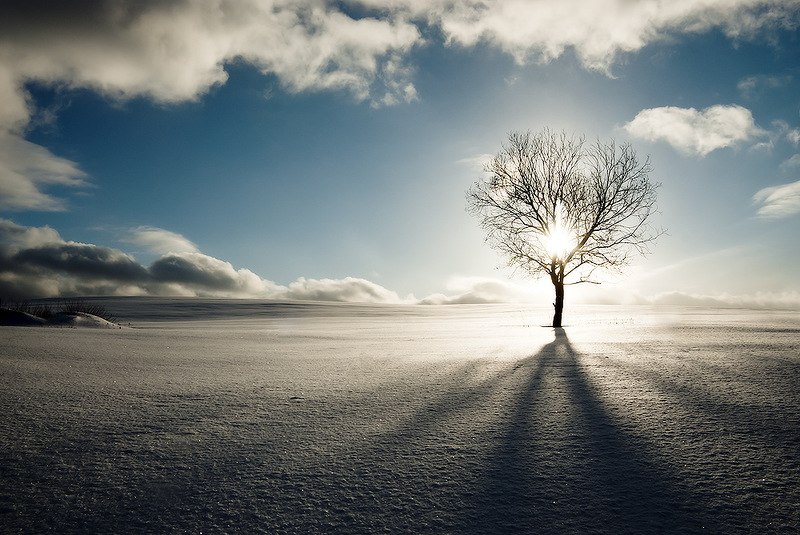 Антон Бор фотография #45