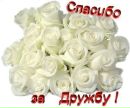 Іра Партика фотография #38 (источник - https://vk.com/id146788916)