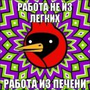 Катько Бирюкова фотография #27 (источник - https://vk.com/id26086263)