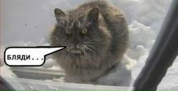 Фотография Beni Стасяна