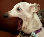 Фотография Пантелеичева Дмитрия