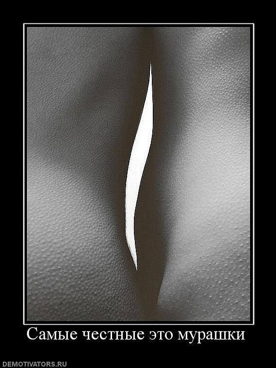 Vladimir Ghost фотография #29