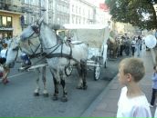 Назар Віщак фотография #40 (источник - https://vk.com/id159398048)