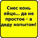 Віка Литвиненко фотография #43 (источник - https://vk.com/id137266373)