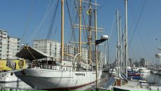 Александра Сутырина фотография #45 (источник - https://vk.com/id496101)