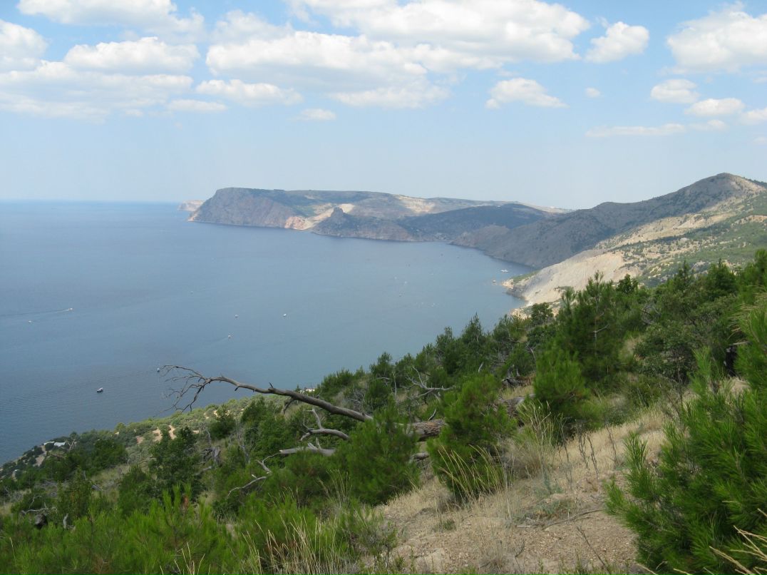 Cucumber Jam фотография #18