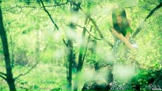 Віталій Слободяник фотография #38 (источник - https://vk.com/id58010664)