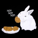 Фотография Kolchina Anastasia