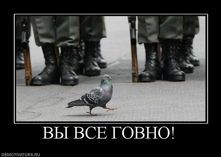№5, Максим Масленников, Нижний Тагил, Россия №5, Максим Масленников, Нижний Тагил, Россия