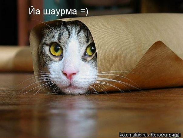 №6, Марина Ракина №6, Марина Ракина