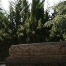 Гріша Пріньковський фотография #13 (источник - https://vk.com/id136120142)