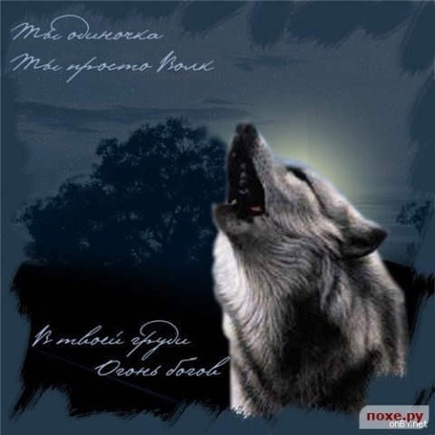 №20, Павел Скирневский №20, Павел Скирневский