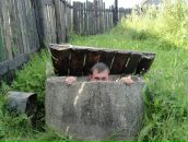 Фотография Бекиша Максима