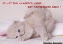 Марія Пашко фотография #28 (источник - https://vk.com/id161398969)