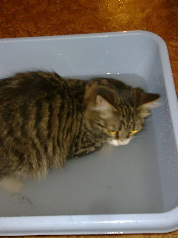 Андрей Поляков фотография #22