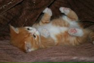 Андрей Рыбкин фотография #19 (источник - https://vk.com/id2490301)