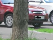 Фотография Кузяева Дмитрия