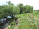 Ірина Пічка фотография #8 (источник - https://vk.com/id138076176)