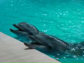 Фотография Щепотьевой Мари