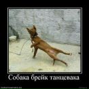 Андрій Філевський фотография #15 (источник - https://vk.com/id8253747)