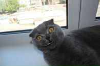 Дмитрий Клыга фотография #15 (источник - https://vk.com/id4355044)