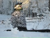 Андрей Лисицын фотография #21 (источник - https://vk.com/id235979)