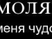 Юрій Шухевич фотография #45 (источник - https://vk.com/id107870730)