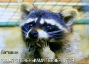 Фотография Чужи Марии